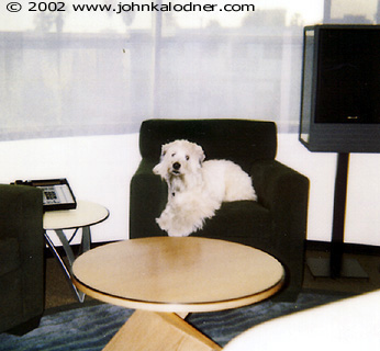 Murphy Brunman in JDKs Office - Santa Monica, CA - 1997