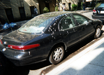 The Perils of Parking in New York! - May 2005